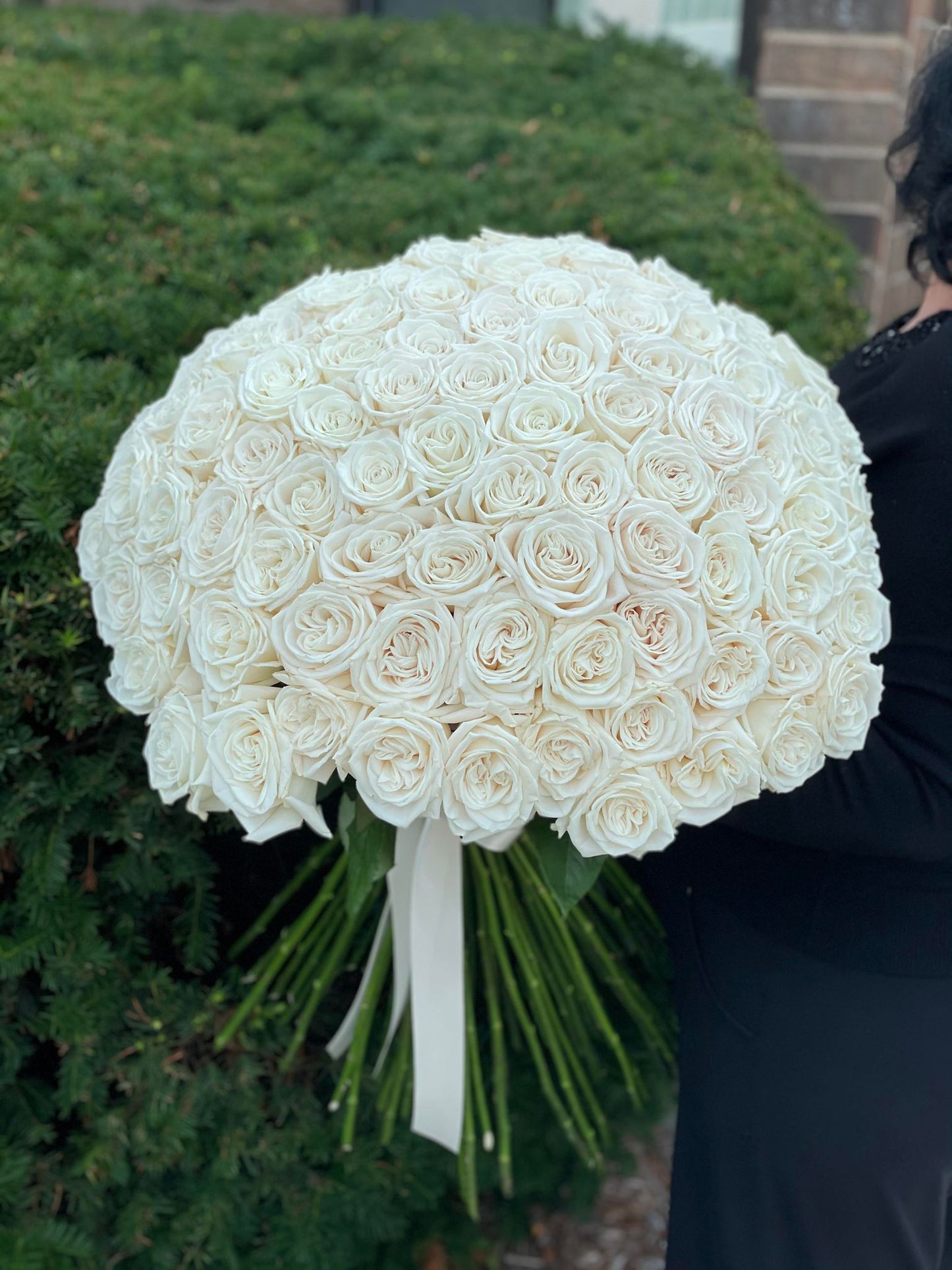 Signature 100 white roses