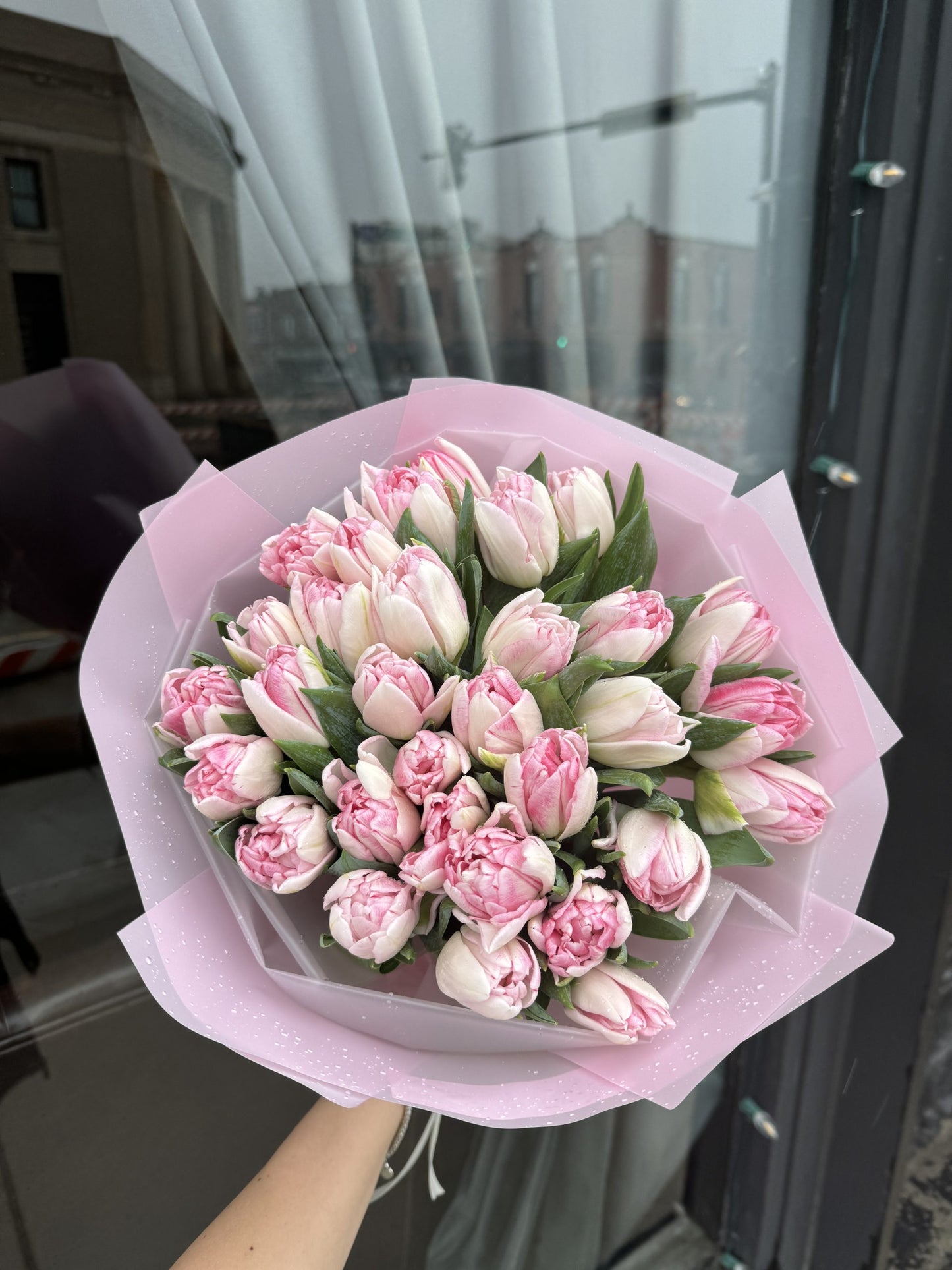 Gentle Pink Tulips Double 50